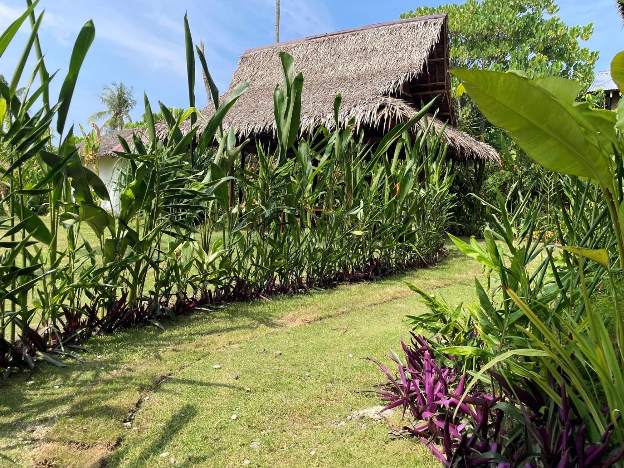 Siargao Sunflower Suites General Luna  Luaran gambar