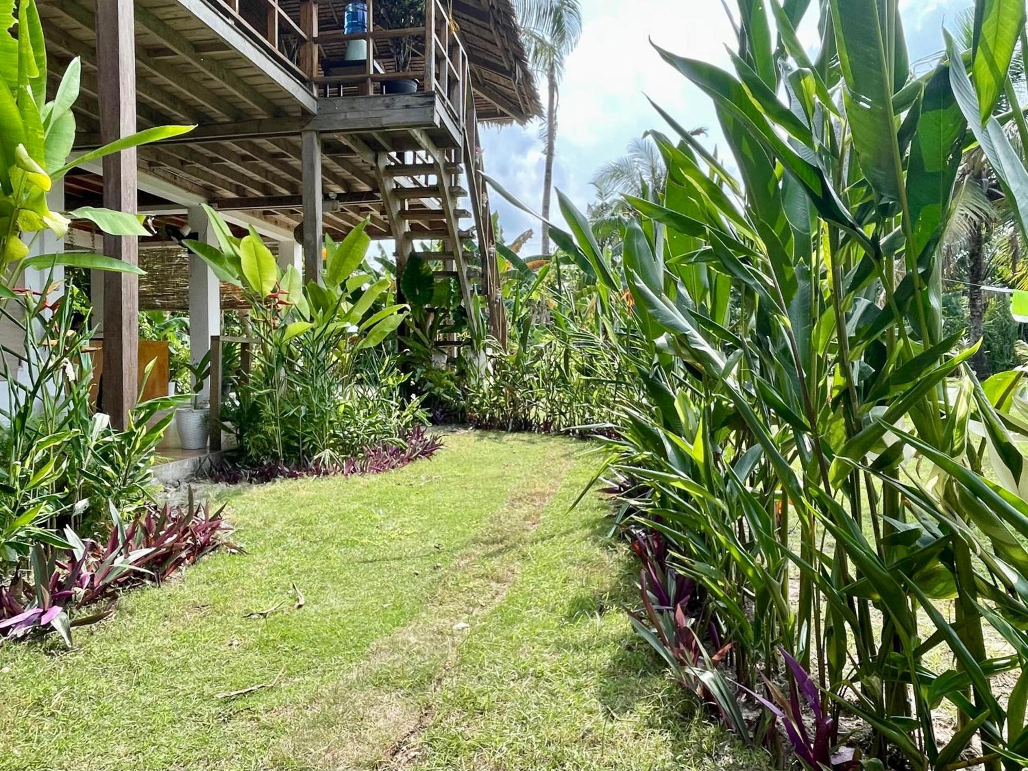 Siargao Sunflower Suites General Luna  Luaran gambar